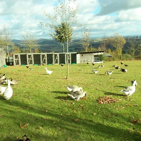 Living In The Castel Near Naturepark In Germany