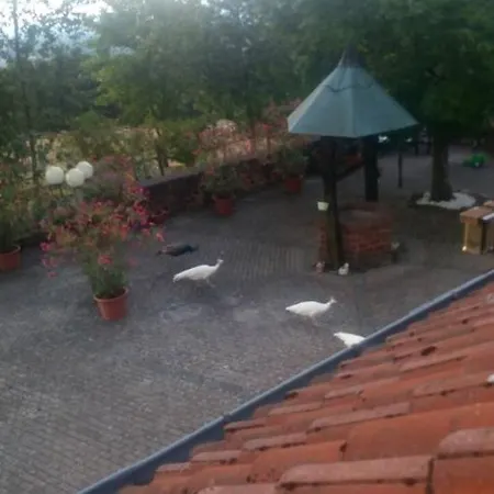 Living In The Castel Near Naturepark In Germany Dom wakacyjny Fockelberg