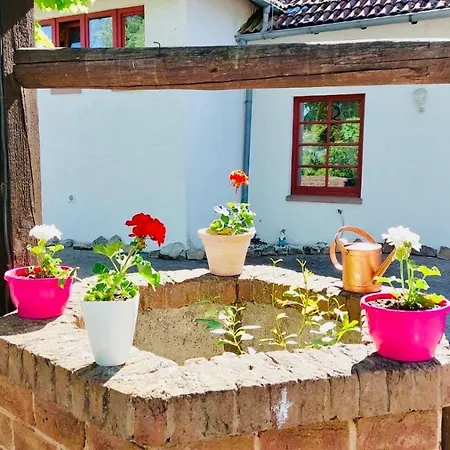 Dom wakacyjny Living In The Castel Near Naturepark In Germany *